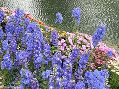 -苏州上方山国家森林公园