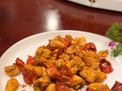 -丁老爷子苏香圆