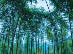 -杨家堂村