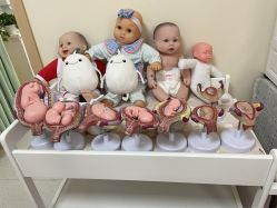 -育学园北京弘和妇产医院