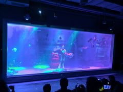 -顺德南宏海立方海洋公园