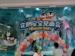 -帝企鹅自助餐厅•儿童岛•真企鹅(长隆企鹅酒店)