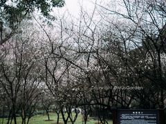 -南山植物园