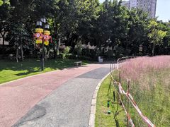 -映月湖公园
