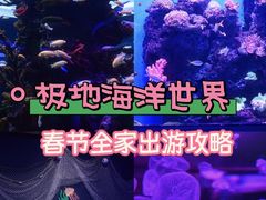 -石家庄极地海洋世界