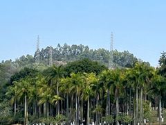 -番禺大夫山森林公园