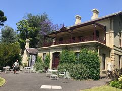 -墨尔本皇家植物园