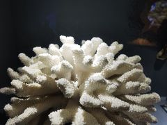 -天津自然博物馆