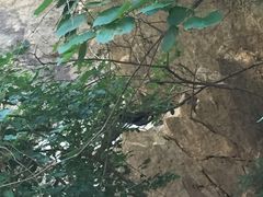 -碓臼峪自然风景区