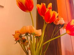 -Catch Bagel(芳草地店)