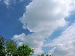 -府河摄影公园
