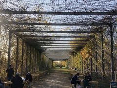 -安德鲁户外烧烤帐篷营地(马泉营店)