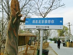 -1982农场