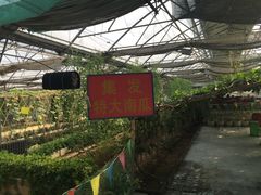 -北戴河集发农业梦想王国