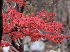 -崂山九水游览区