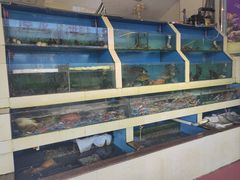 -原龙海鲜大排档(美食地标店)