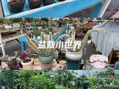 -三圣花乡旅游区