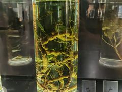 -广东中医药博物馆