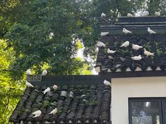 -善卷洞风景区