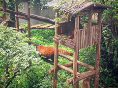 -昆明动物园