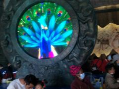 -七彩云南欢乐世界