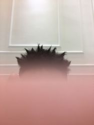 -艺米阳光Hair Salon