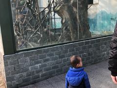 -无锡动物园·太湖欢乐园