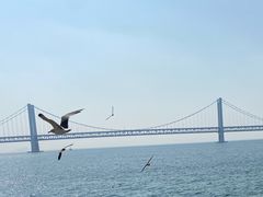 -星海湾跨海大桥