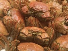 -高老庄新家宴(北斗星广场店)