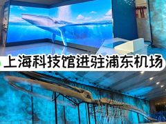 -上海浦东国际机场-T2航站楼