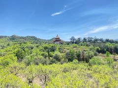 -磬锤峰森林公园