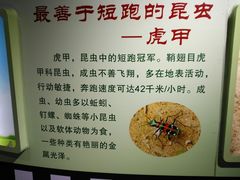 -上海昆虫博物馆