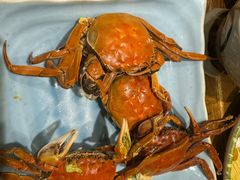 -蟹将军·松叶蟹和牛日料放题自助(K11店)