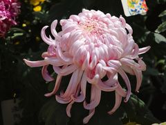 -国家植物园