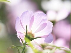 -梅州天地人花园酒店(梅县人民广场店)