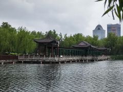 -莲花池公园