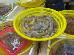 -板桥海鲜广场(文明东店)