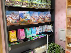 -喵百万·布偶·蓝金金渐层英短·猫舍(百子湾店)