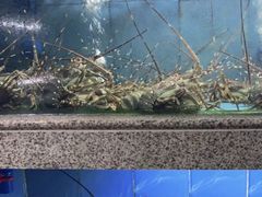 -达叔香味海鲜(海棠68环球美食街店)