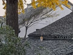 -新聚丰菜馆(太监弄店)