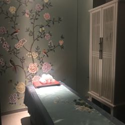 -奈瑞儿美颜美养SPA