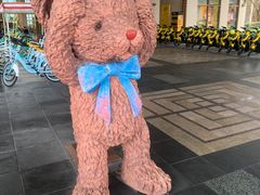 -宁波九龙湖开元度假村