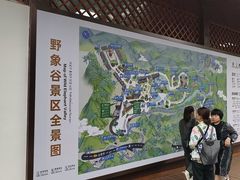-野象谷景区