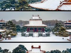 -北陵公园