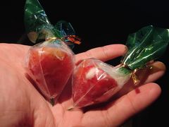 -麦德龙(郑东店)