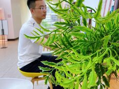 -磁课·成人英语·雅思培训(高新校区)