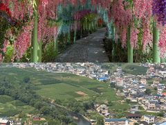-荔江湾景区