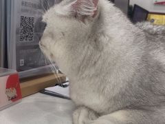 -艾贝尔宠物医院 ·中兽医·宠保定点(北门桥店)