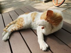 -同济摄影·柯达照相馆
