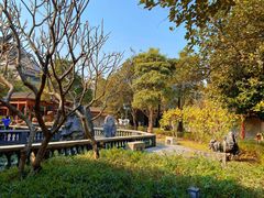 -顺峰山公园